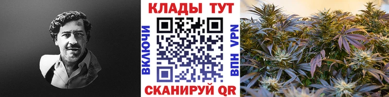 Где продают наркотики Канск COCAIN МЕФ АМФЕТАМИН Канабис