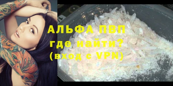 стафф Ладушкин