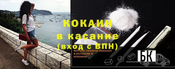 стафф Ладушкин