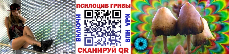Псилоцибиновые грибы Psilocybe  купить наркотики цена  Канск 