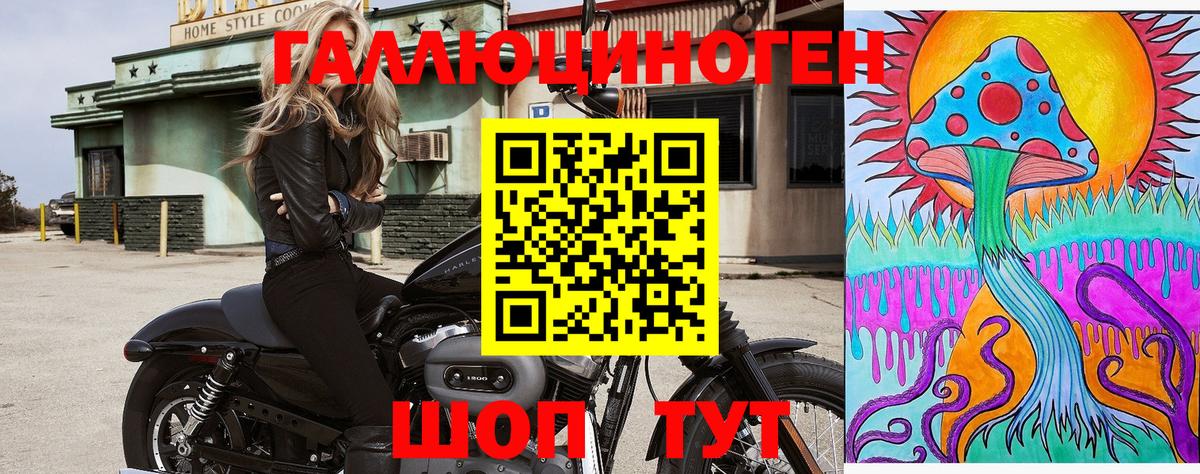 Галлюциногенные грибы ЛСД  Канск  Галлюциногенные грибы Psilocybe 