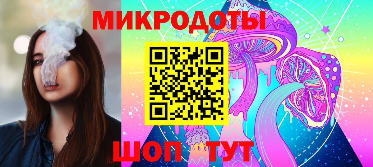 Псилоцибиновые грибы Psilocybine cubensis Канск